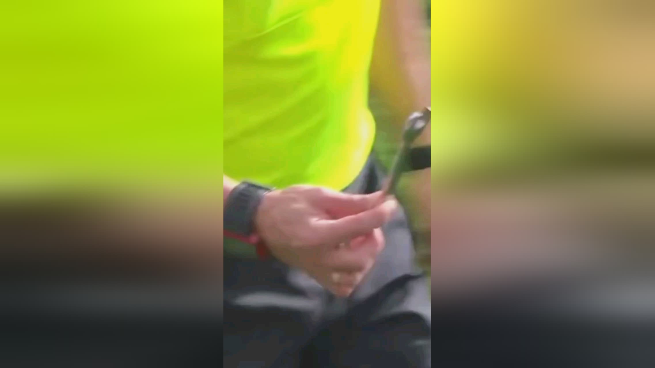 球员们认
